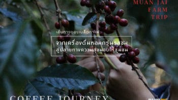 เส้นทางของเมล็ดกาแฟ:จากเครื่องดื่มหอมกรุ่นรสขม สู่ปลายทางความสุขมอบให้ชุมชน