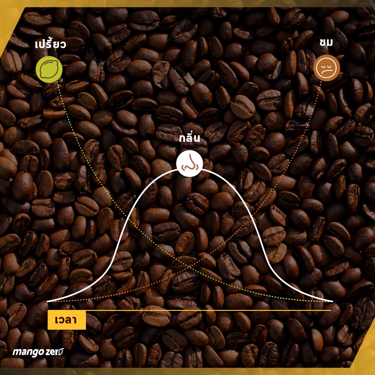 5-things-about-nest-coffee-gold-crema-15