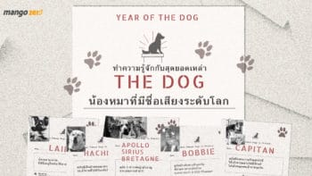 Year of the Dog ทำความรู้จักเหล่า The Dog น้องหมาที่มีชื่อเสียงระดับโลก