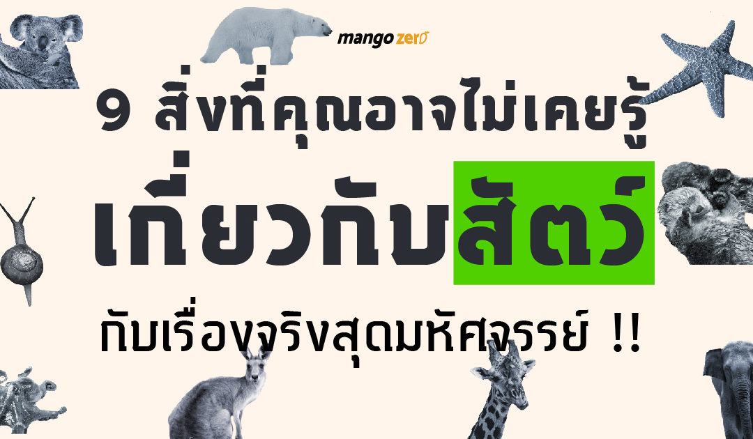 9 สิ่งที่คุณอาจไม่เคยรู้เกี่ยวกับสัตว์ กับเรื่องจริงสุดมหัศจรรย์ !!