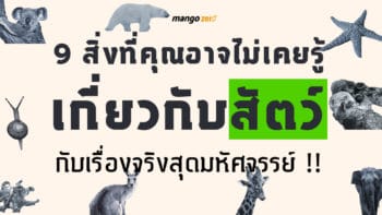 9 สิ่งที่คุณอาจไม่เคยรู้เกี่ยวกับสัตว์ กับเรื่องจริงสุดมหัศจรรย์ !!