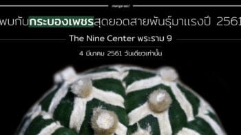 พบกับกระบองเพชรสุดยอดสายพันธุ์มาเเรงปี 2561 ที่ The Nine Center พระราม 9 วันที่ 4 มี.ค.นี้