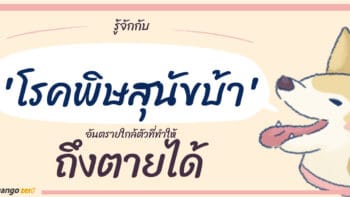 รู้จักกับ 'โรคพิษสุนัขบ้า' อันตรายใกล้ตัวที่ทำให้ถึงตายได้