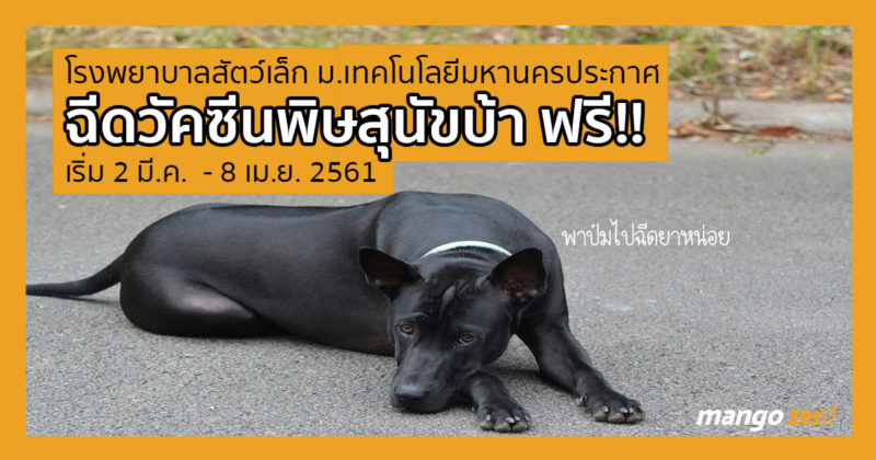 vaccine-rabies-free-by-small-animal-hospita-web-1
