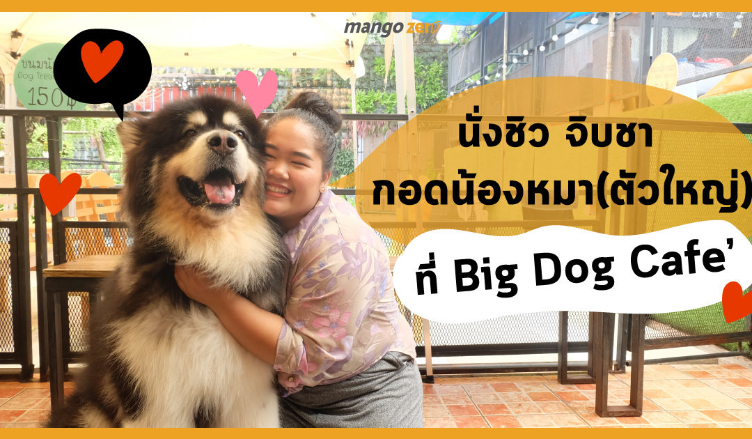 นั่งชิว จิบชา กอดน้องหมา (ตัวใหญ่) ที่ Big Dog Cafe’