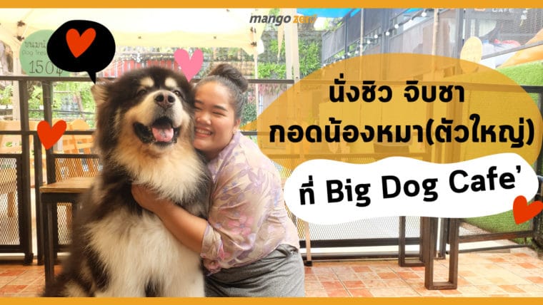 นั่งชิว จิบชา กอดน้องหมา (ตัวใหญ่) ที่ Big Dog Cafe’