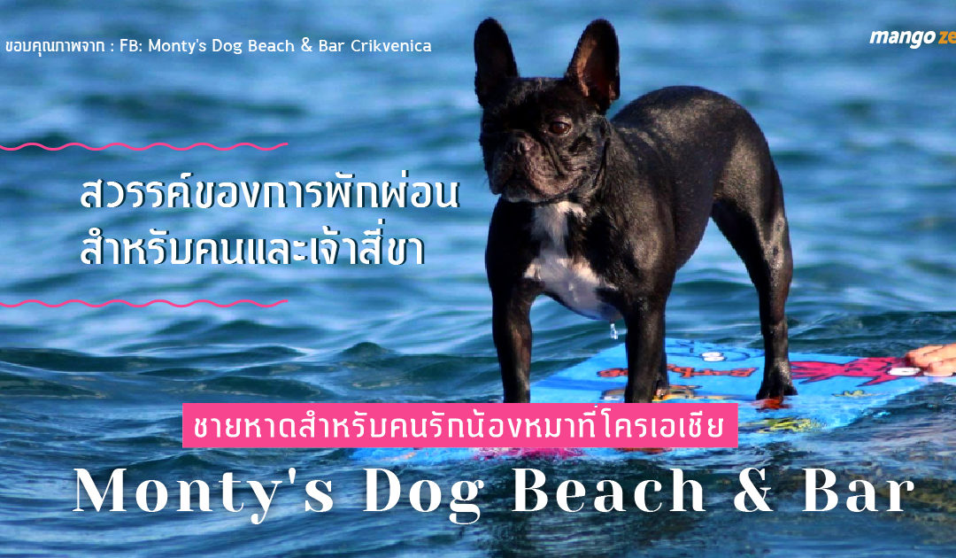 ชายหาดสำหรับคนรักน้องหมาที่โครเอเชีย : Monty’s Dog Beach & Bar สวรรค์ของการพักผ่อนสำหรับคนและเจ้าสี่ขา