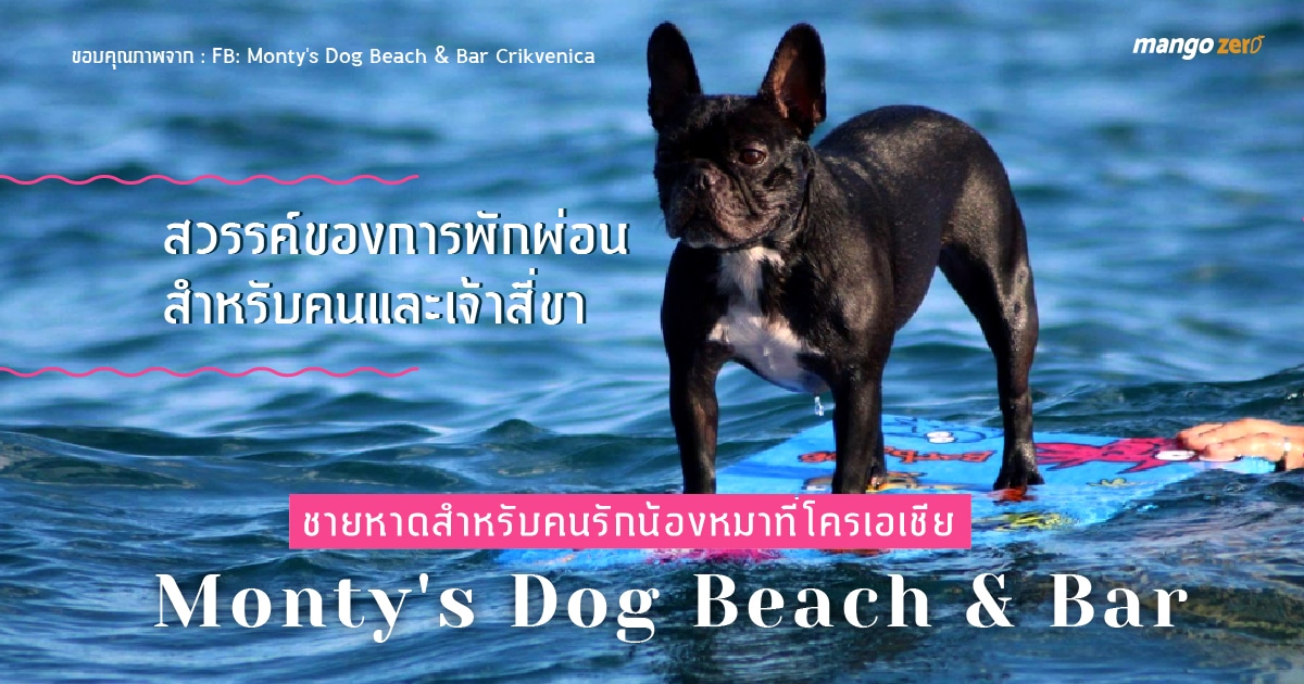 montys-dog-beach-bar-03