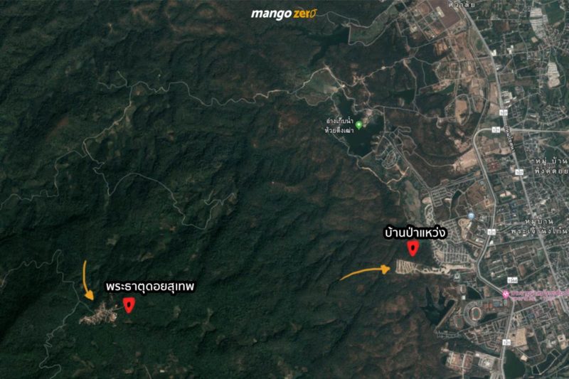 summary-doi-suthep-clear-cutting-project-1