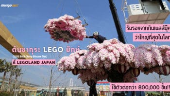 ต้นซากุระ LEGO ยักษ์ ที่ LEGOLAND JAPAN : รับรองจากกินเนสส์บุ๊คว่าใหญ่ที่สุดในโลก ใช้ตัวต่อกว่า 800,000 ชิ้น!!