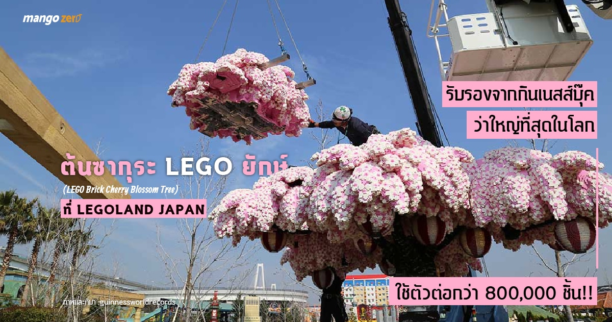 world-biggest-lego-cherry-blossom-tree-06