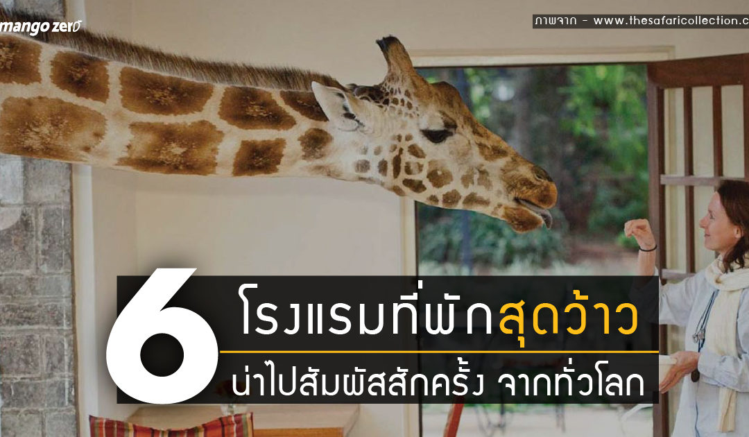 6 โรงแรมที่พักสุดว้าว น่าไปสัมผัสสักครั้ง จากทั่วโลก