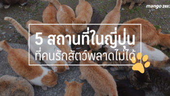 5 สถานที่ในญี่ปุ่นที่คนรักสัตว์พลาดไม่ได้