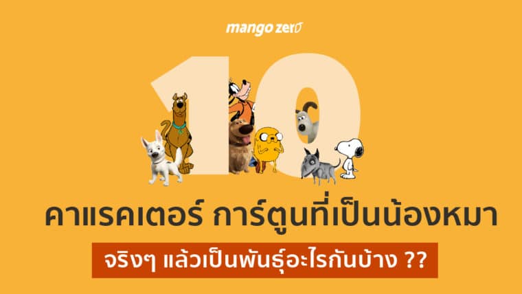 10 คาแรคเตอร์ การ์ตูนที่เป็นน้องหมา จริงๆ แล้วเป็นพันธุ์อะไรกันบ้าง ??