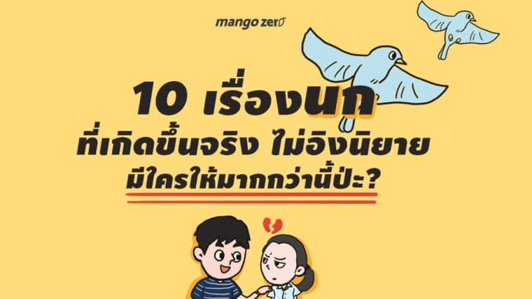 10 เรื่องนกที่เกิดขึ้นจริง ไม่อิงนิยาย มีใครให้มากกว่านี้ป่ะ?