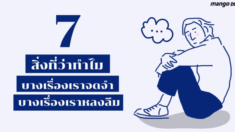 7 สิ่งที่ว่าทำไม 