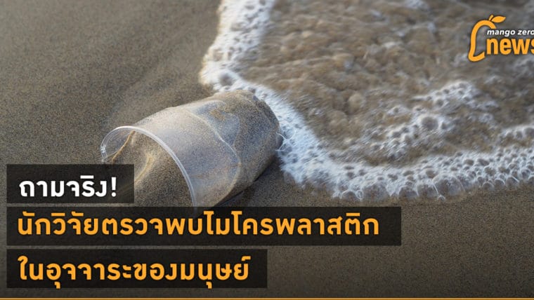 ถามจริง! นักวิจัยตรวจพบไมโครพลาสติกในอุจจาระของมนุษย์