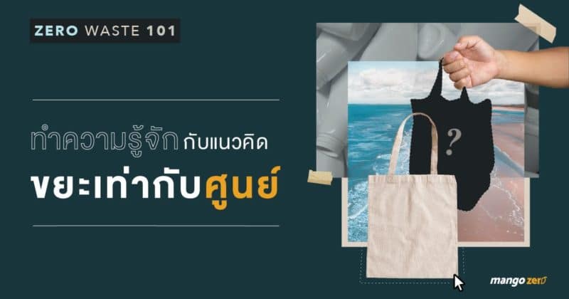 Zero Waste 101 : ทำความรู้จักกับแนวคิดขยะเท่ากับศูนย์Zero Waste 101 : ทำความรู้จักกับแนวคิดขยะเท่ากับศูนย์