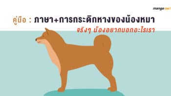 คู่มือ : ภาษา+การกระดิกหางของน้องหมา : จริงๆ น้องอยากบอกอะไรเรา