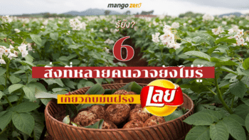 รู้ยัง? 6 สิ่งที่หลายคนอาจยังไม่รู้ เกี่ยวกับมันฝรั่งเลย์