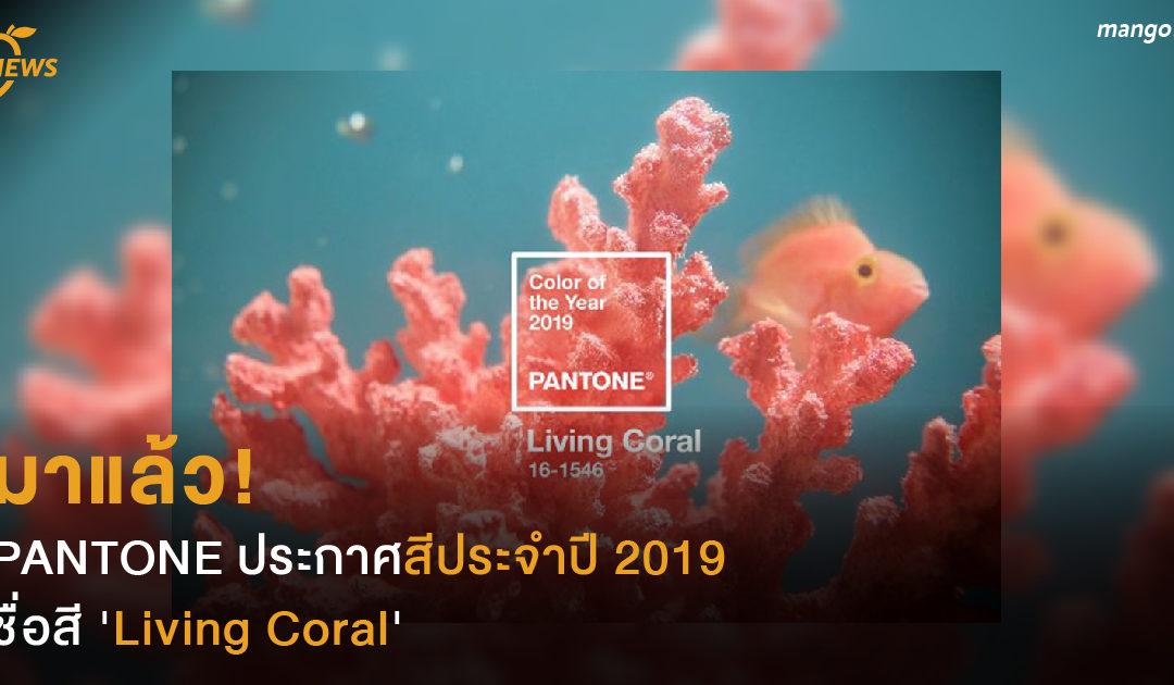 มาแล้ว! PANTONE ประกาศสีประจำปี 2019 ชื่อสี ‘Living Coral’