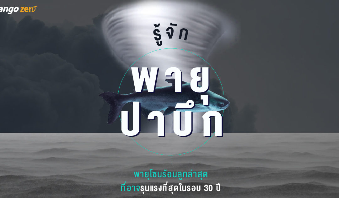 รู้จักพายุปาบึก : พายุโซนร้อนลูกล่าสุด ที่อาจรุนแรงที่สุดในรอบ 30 ปี