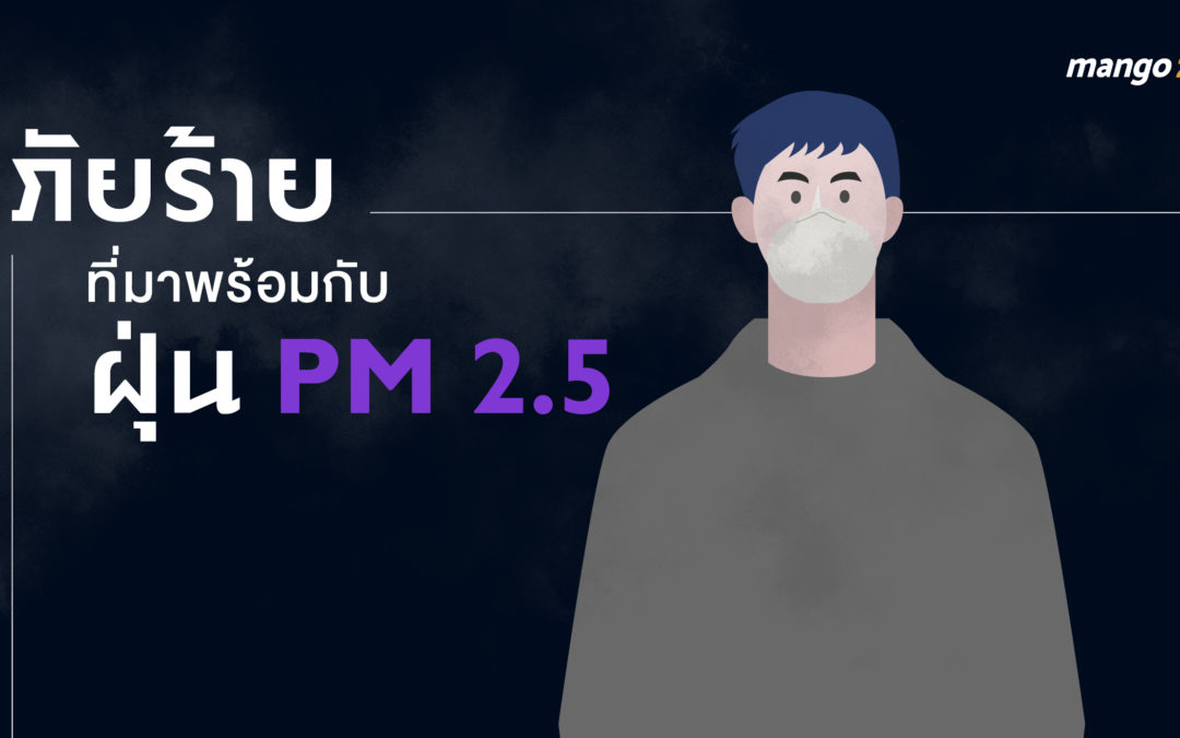 ภัยร้ายที่มาพร้อมกับฝุ่น PM 2.5