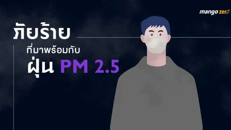 ภัยร้ายที่มาพร้อมกับฝุ่น PM 2.5