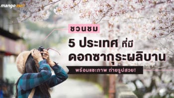 ชวนชม 5 ประเทศที่มีดอกซากุระผลิบาน พร้อมแชะภาพ ถ่ายรูปสวย!