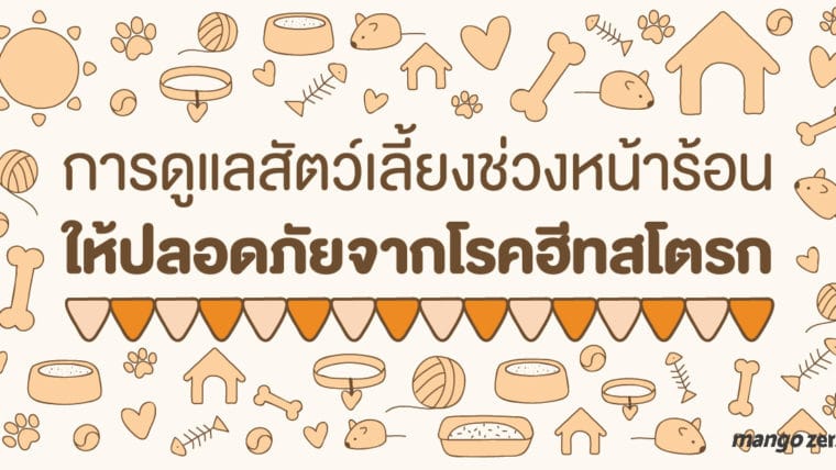 การดูแลสัตว์เลี้ยงช่วงหน้าร้อน ให้ปลอดภัยจากโรคฮีทสโตรก