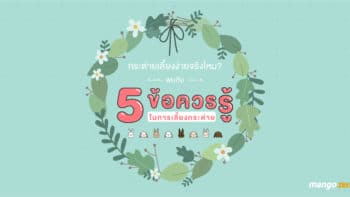 กระต่ายเลี้ยงง่ายจริงไหม? พบกับ 5 ข้อควรรู้ในการเลี้ยงกระต่าย