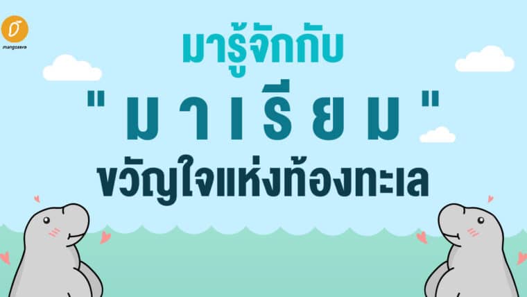 มารู้จักกับพะยูนน้อย 