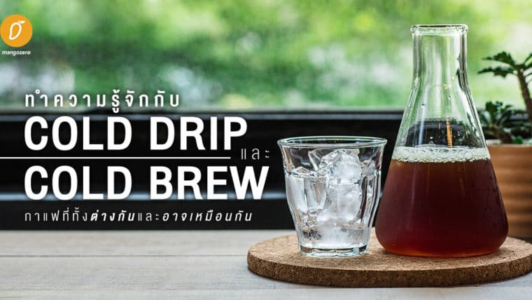 ทำความรู้จักกับ Cold Drip และ Cold Brew กาแฟที่ทั้งต่างกันและอาจเหมือนกัน