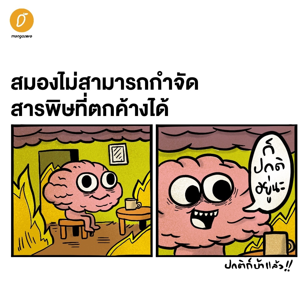 What happens to your brain if you dont sleep 02 mango zero