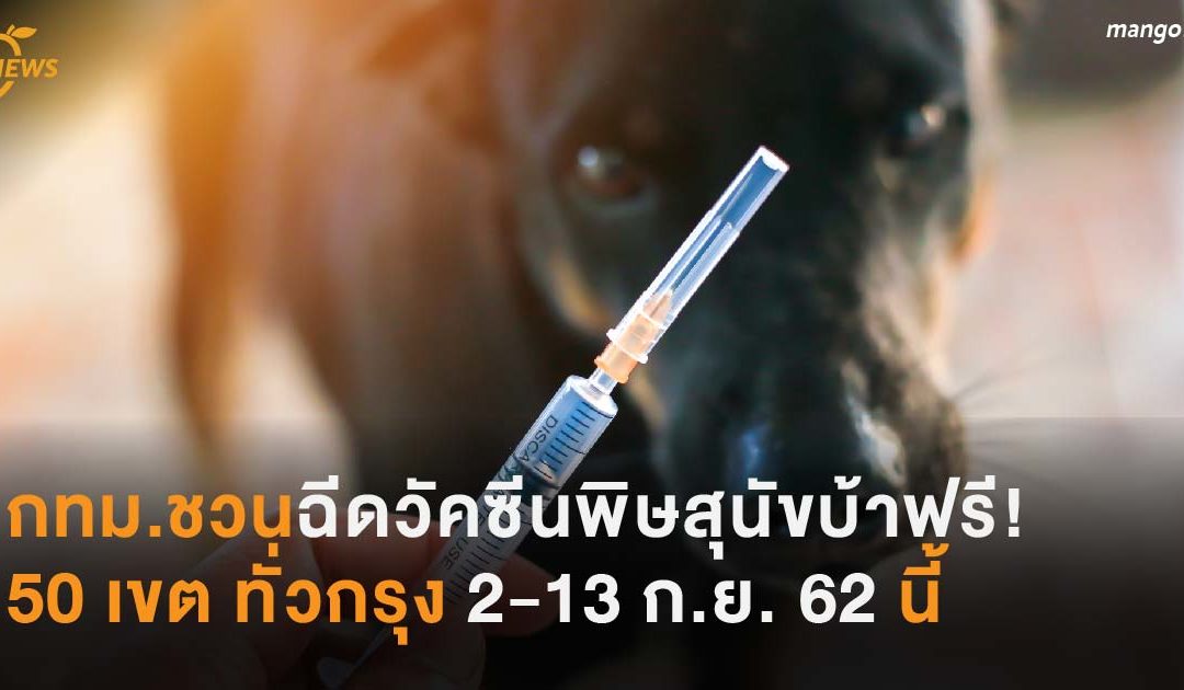 กทม.จัดบริการวัคซีนพิษสุนัขบ้าฟรี! 50 เขต ทั่วกรุง 2-13 ก.ย. 62 นี้