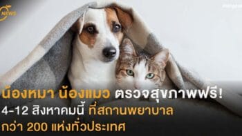 น้องหมา น้องแมว ตรวจสุขภาพฟรี 4-12 สิงหาคม นี้ที่สถานพยาบาลกว่า 200 แห่งทั่วประเทศ