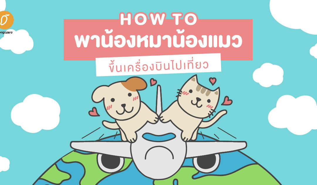 how to พาน้องหมาน้องแมวขึ้นเครื่องบินไปเที่ยว