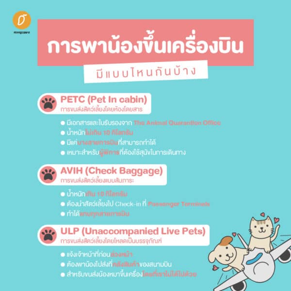 how to พาน้องหมาน้องแมวขึ้นเครื่องบินไปเที่ยว How To พาน้องหมาน้องแมวขึ้นเครื่องบินไปเที่ยว