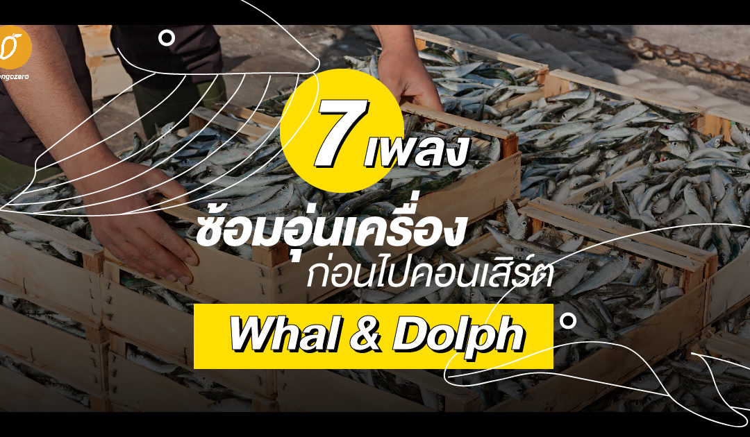 7 เพลงซ้อมอุ่นเครื่องก่อนไปคอนเสิร์ต Whal & Dolph