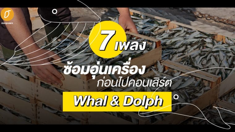 7 เพลงซ้อมอุ่นเครื่องก่อนไปคอนเสิร์ต Whal & Dolph