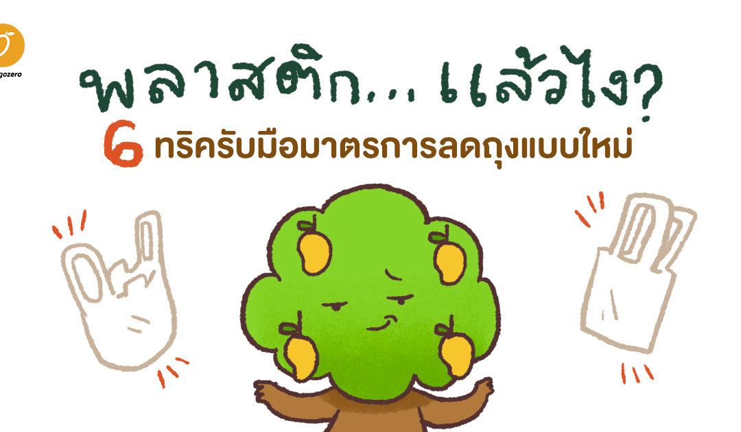พลาสติก… แล้วไง? 6 ทริครับมือมาตรการลดถุงแบบใหม่