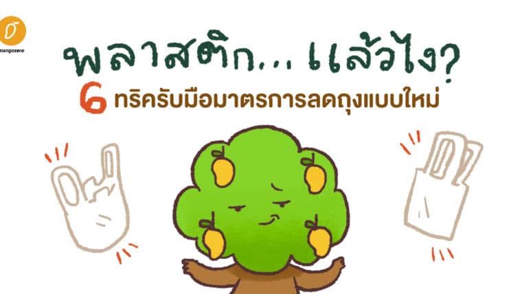 พลาสติก... แล้วไง? 6 ทริครับมือมาตรการลดถุงแบบใหม่