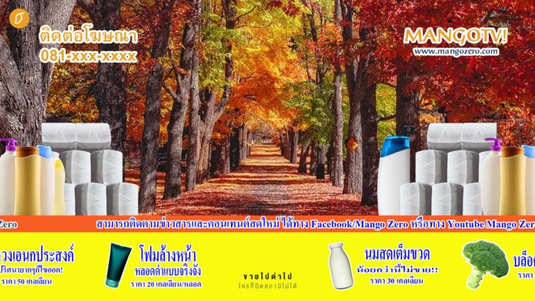 แจกฟรี! ภาพพื้นหลังไอเดียบรรเจิด เปิดประสบการณ์ Video Conference ใน