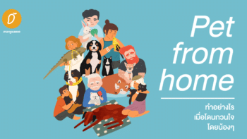 Pet from home - ทำอย่างไร เมื่อโดนกวนใจโดยน้องๆ