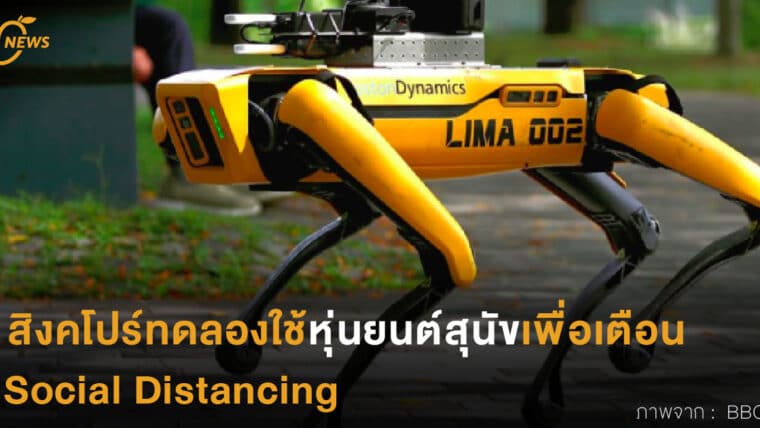 สิงคโปร์ทดลองใช้หุ่นยนต์สุนัขเพื่อเตือน Social Distancing