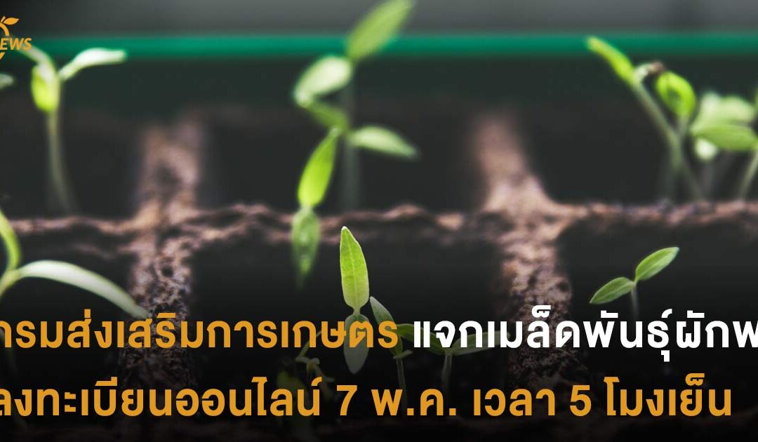 กรมส่งเสริมการเกษตรแจกเมล็ดพันธุ์ผักฟรี ลงทะเบียนออนไลน์ 7 พ.ค. เวลา 5 โมงเย็น มีจำนวนจำกัด