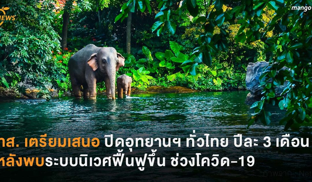 ทส. เตรียมเสนอปิดอุทยานแห่งชาติทั่วไทย ปีละ 3 เดือน  หลังพบระบบนิเวศฟื้นฟูได้ดีขึ้น ช่วงโควิด-19 ระบาด