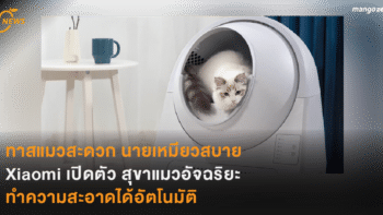 ทาสแมวสะดวก นายเหมียวสบาย Xiaomi เปิดตัว สุขาแมวอัจฉริยะ  ทำความสะอาดได้อัตโนมัติ