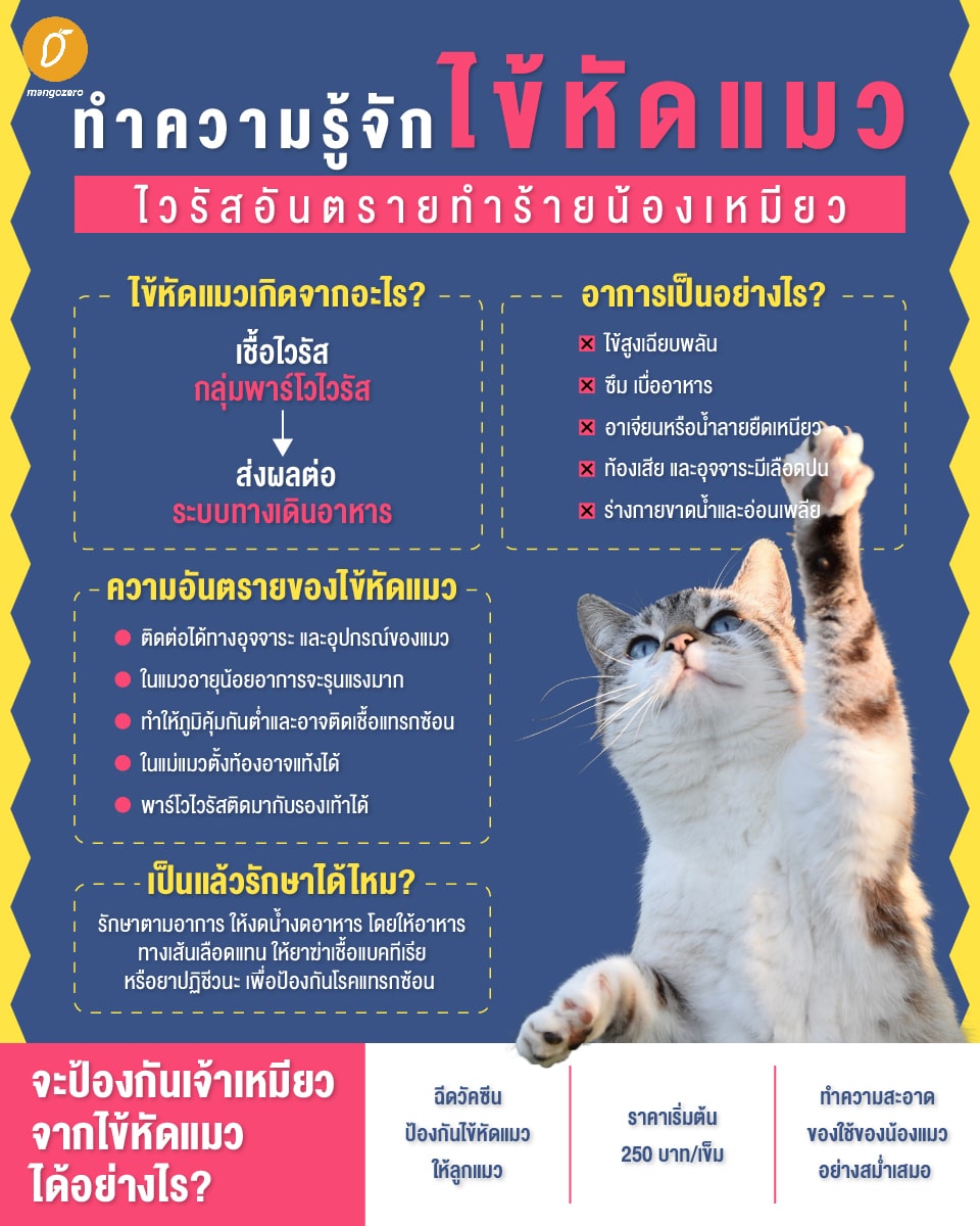 My Image 32