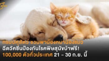 กรมปศุสัตว์ ชวนพาน้องหมาน้องแมว ฉีดวัคซีนป้องกันโรคพิษสุนัขบ้าฟรี! 100,000 ตัวทั่วประเทศ 21 - 30 ก.ย. นี้